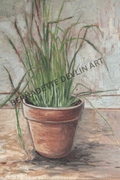 Potted plant on a textured surface with 'Bernadette Devlin Art' watermark.