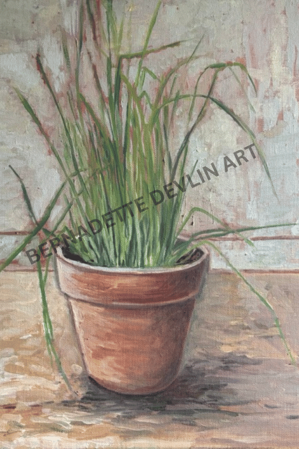 Potted plant on a textured surface with 'Bernadette Devlin Art' watermark.