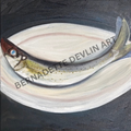 Artistic depiction of a fish with 'Bernadette Devlin Art' branding.
